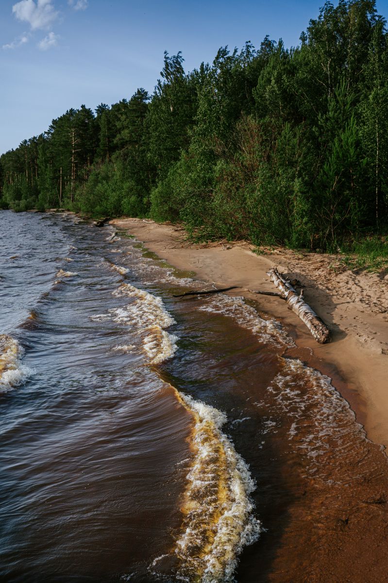 Дарвинский Государственный природный биосферный заповедник